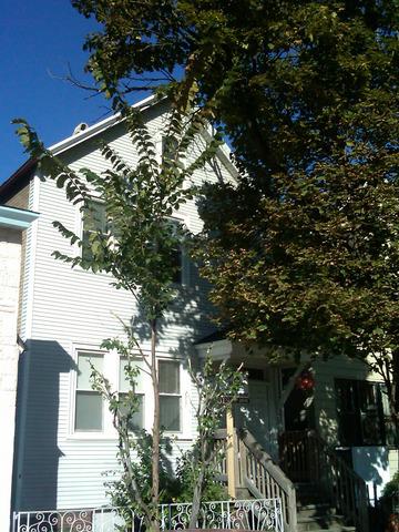 4832 S Hermitage Ave., Chicago, IL 60609
