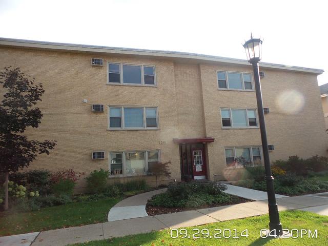 301 Chicago Ave. #3SW, Oak Park, IL 60302