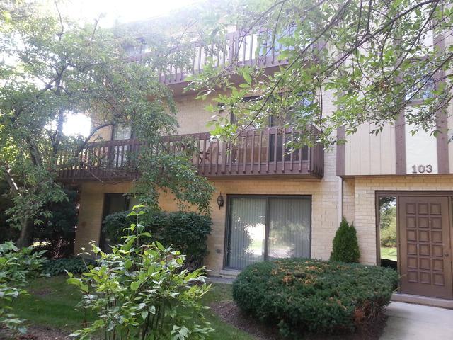 103 S Olesen Dr. #2C, Naperville, IL 60540