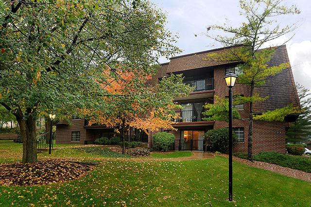 410 Melrose Ave. #101, Glen Ellyn, IL 60137