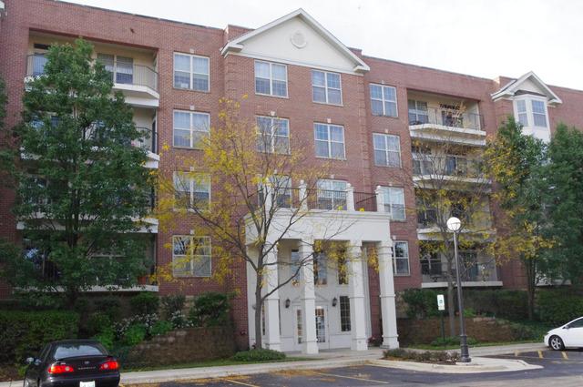 3100 Town Square Dr. #303, Rolling Meadows, IL 60008