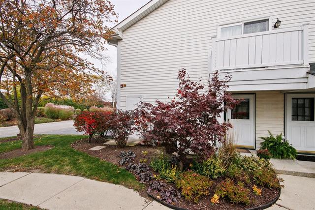 556 Willowcreek Ct., Clarendon Hills, IL 60514
