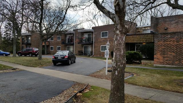 2807 Willow Rd. #103, Homewood, IL 60430