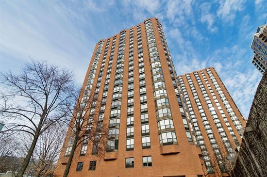 901 S Plymouth Ct. #802, Chicago, IL 60605