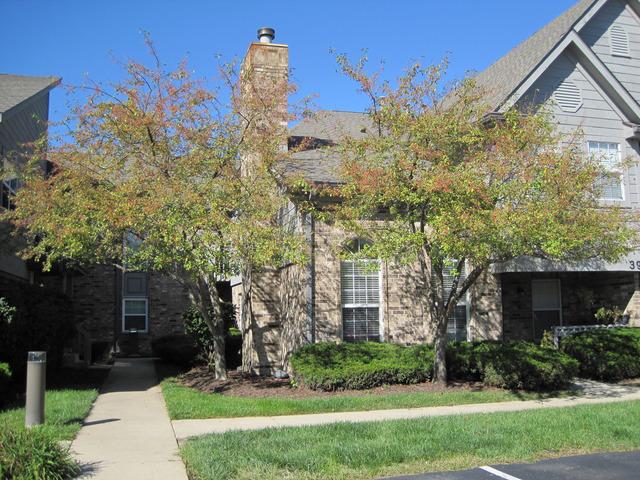39 Foxcroft Rd. #127, Naperville, IL 60565