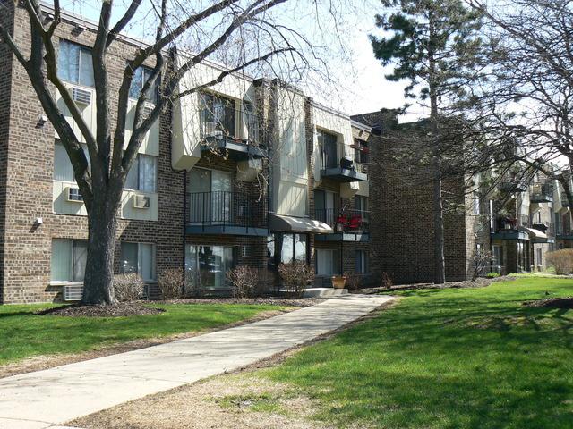 1481 Winslowe Dr. #303, Palatine, IL 60074
