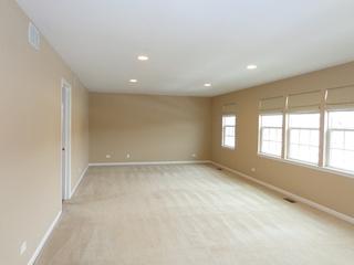 526 Blazing Star Dr., Lake Villa, IL 60046