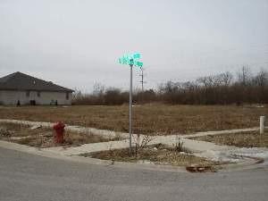 21348 Oxbow Ct., Elwood, IL 60421