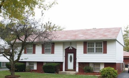 313 E Center St., Glenwood, IL 60425