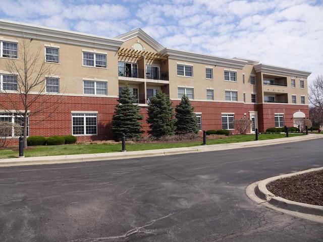 59 Old Frankfort Way #315, Frankfort, IL 60423