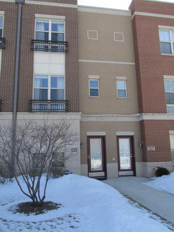 1225 W Grenshaw St., Chicago, IL 60607