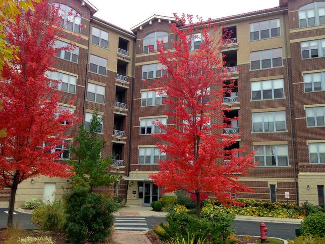 9350 Skokie Blvd. #202, Skokie, IL 60077