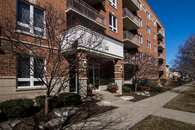 476 Alles St. #308, Des Plaines, IL 60016