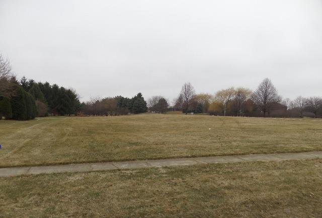 10614 Grey Fox Tr., Naperville, IL 60564