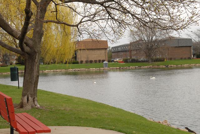 9386 Bay Colony Dr. #3S, Des Plaines, IL 60016