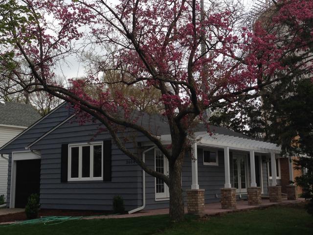 3604 Central St., Evanston, IL 60201