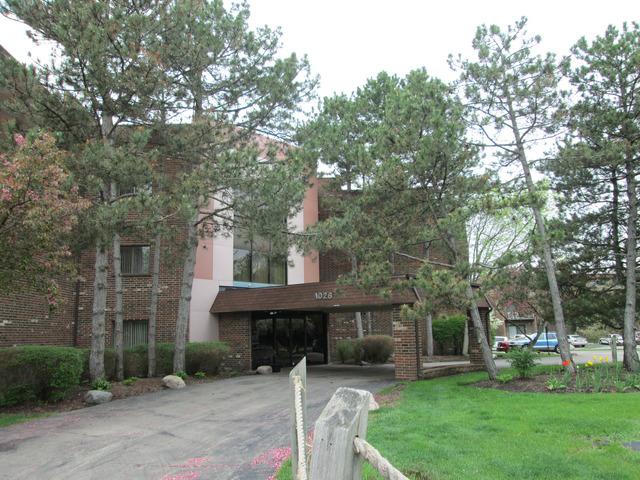 1026 Castilian Ct. #313, Glenview, IL 60025