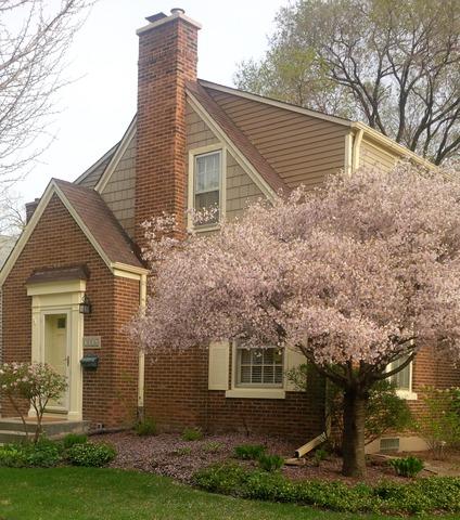 2016 Keeney St., Evanston, IL 60202