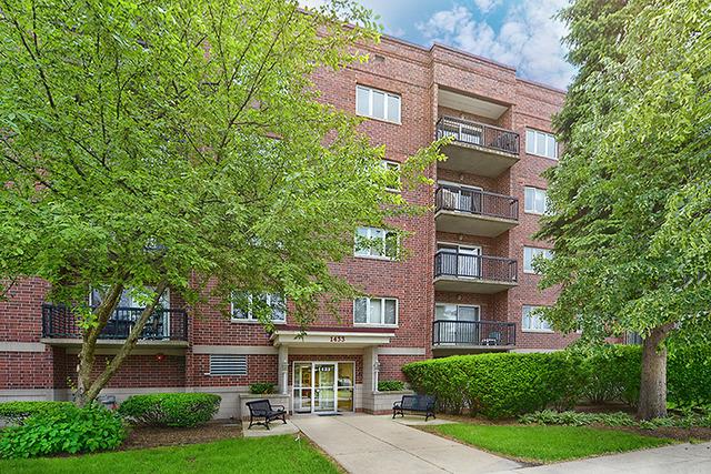 1433 Perry St. #406, Des Plaines, IL 60016