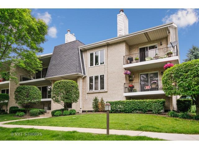 9106 Del Prado Dr. #1W, Palos Hills, IL 60465