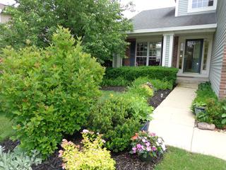 861 Tallgrass Dr., Bartlett, IL 60103