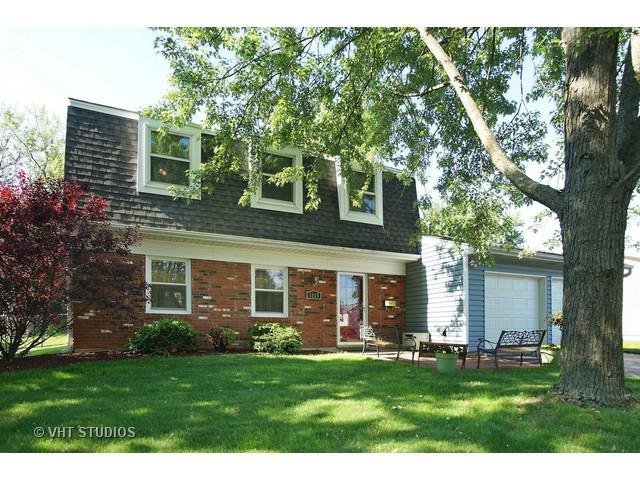 1113 Roslyn Ln., Schaumburg, IL 60194