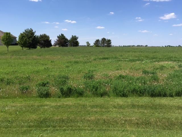 17402 Wildflower Cir., Union, IL 60180