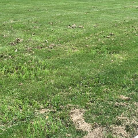 114 N Fordham Ave., Aurora, IL 60506