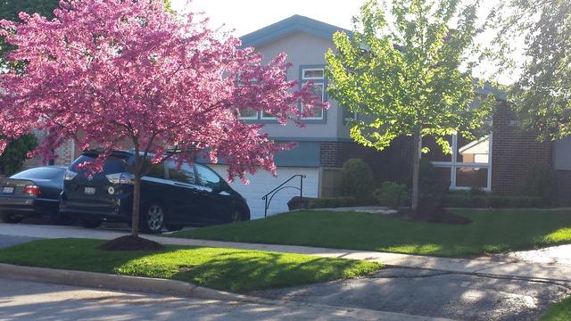 9649 Le Claire Ave., Skokie, IL 60077