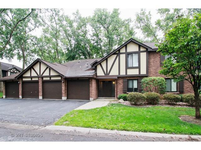 8127 Chestnut Dr. #58B, Palos Hills, IL 60465