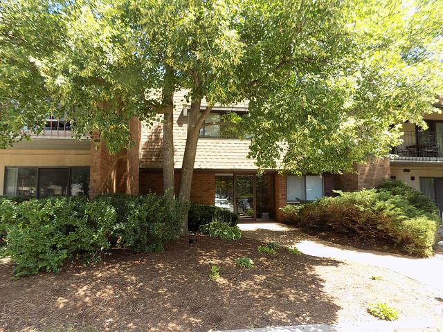 250 Old Oak Dr. #172, Buffalo Grove, IL 60089