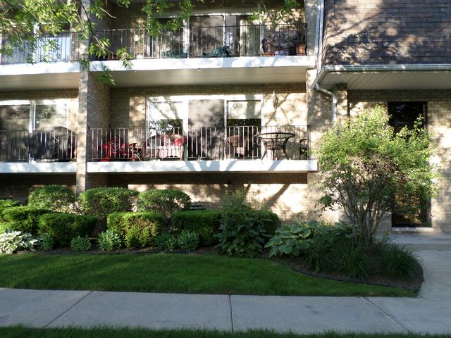 9191 Del Prado Dr. #1N, Palos Hills, IL 60465