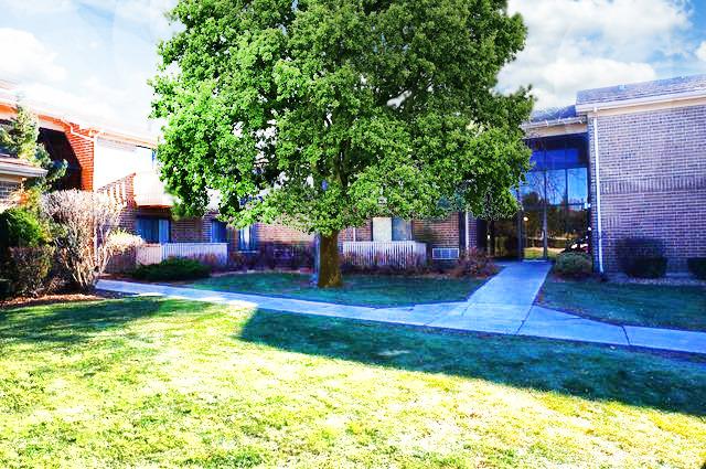 33715 N Royal Oak Ln. #209, Grayslake, IL 60030