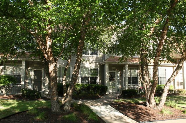 746 Big Timber Dr., Joliet, IL 60431