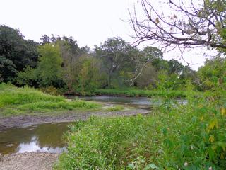 1925 Wisteria Ct. #2, Naperville, IL 60565