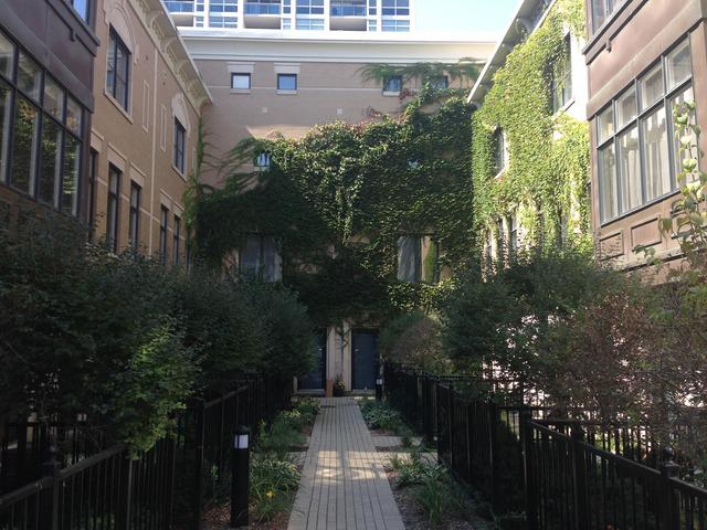 1810 S Indiana Ave. #A, Chicago, IL 60616