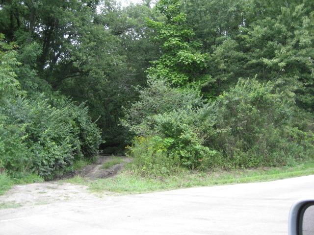 LOT 004 S Zilm Rd., Custer Park, IL 60481