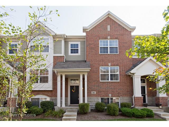 54 Grace Ct., Lemont, IL 60439