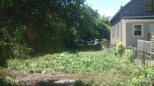 2438 W Polk St., Chicago, IL 60612