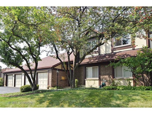 420 Ramblewood Dr. #C, Glen Ellyn, IL 60137