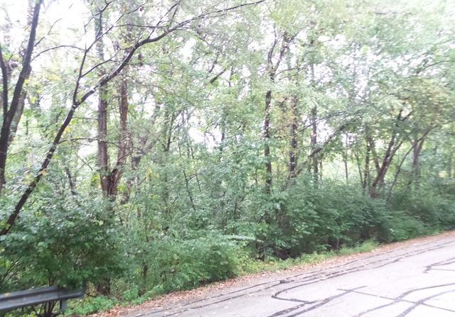 LOT 6 Oldwoods Dr., Naperville, IL 60565