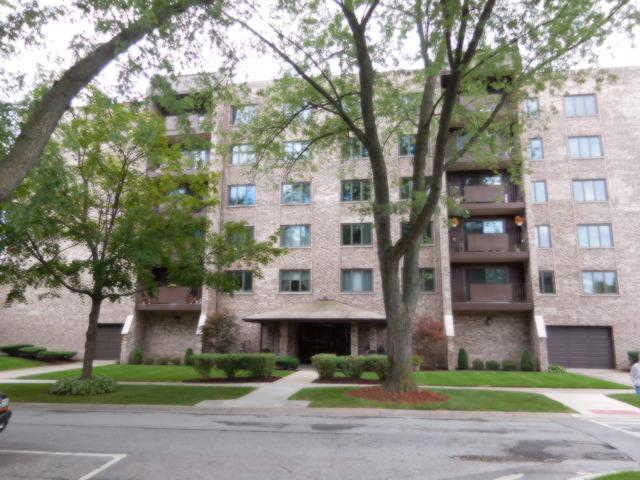 1595 Ashland Ave. #504, Des Plaines, IL 60016