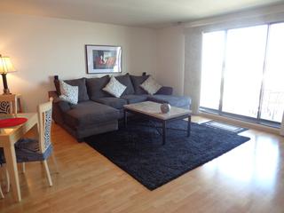 1717 W Crystal Ln. #703, Mount Prospect, IL 60056
