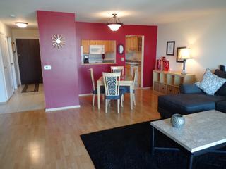 1717 W Crystal Ln. #703, Mount Prospect, IL 60056