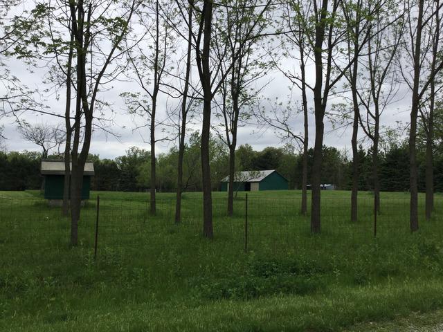 2778 E Twp 121 Rd., Sheldon, IL 60966