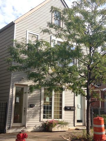 1728 W 18th Pl., Chicago, IL 60608
