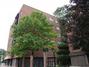 7904 W North Ave. #407E, Elmwood Park, IL 60707