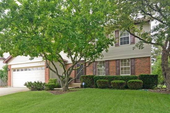 1418 Rachel Ln., Buffalo Grove, IL 60089