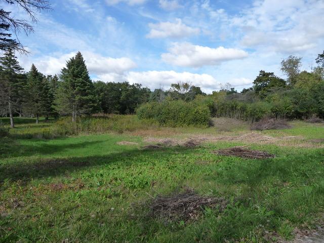 1250 Woodfield Ln., Green Oaks, IL 60048