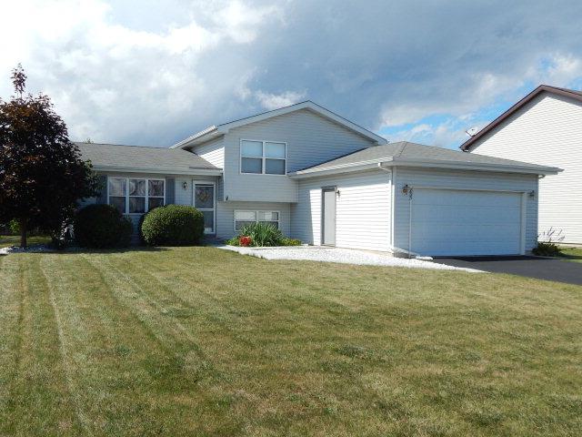 895 Laurel Dr., Elwood, IL 60421